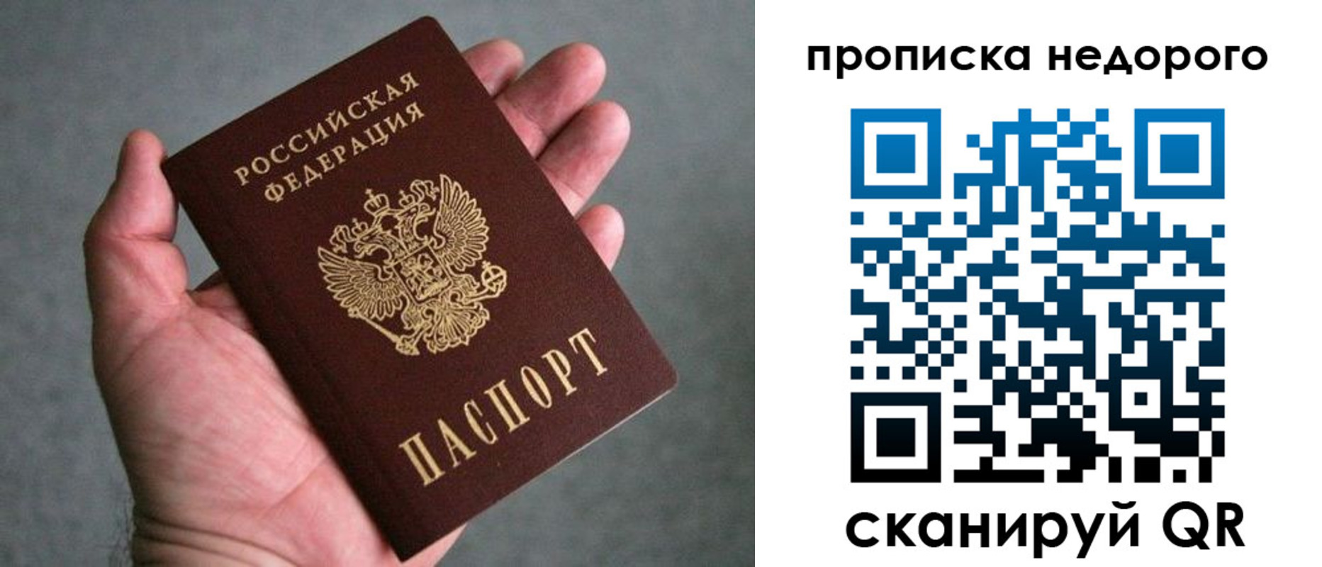 прописка поиск в Челябинске